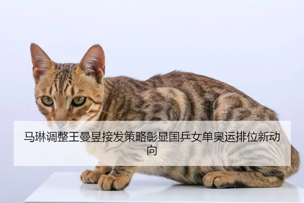 马琳调整王曼昱接发策略彰显国乒女单奥运排位新动向