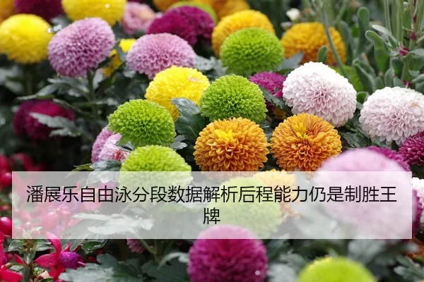 潘展乐自由泳分段数据解析后程能力仍是制胜王牌