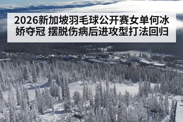 2026新加坡羽毛球公开赛女单何冰娇夺冠 摆脱伤病后进攻型打法回归