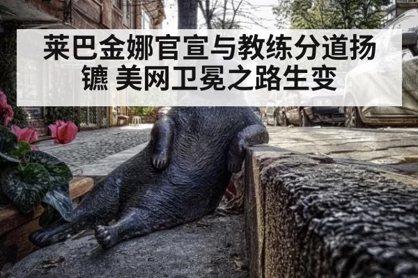 莱巴金娜官宣与教练分道扬镳 美网卫冕之路生变